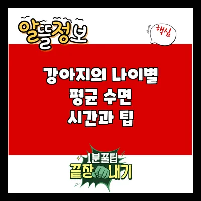 강아지의 나이별 평균 수면 시간과 팁