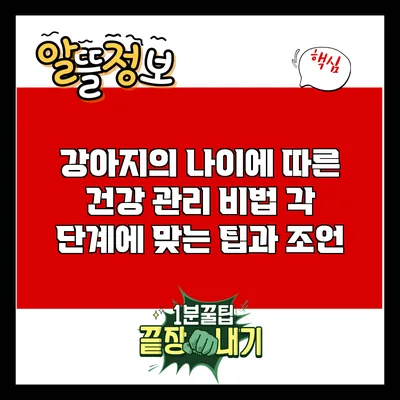 강아지의 나이에 따른 건강 관리 비법: 각 단계에 맞는 팁과 조언
