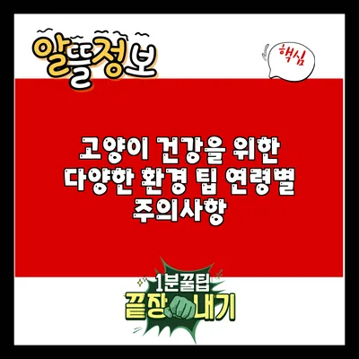 고양이 건강을 위한 다양한 환경 팁: 연령별 주의사항