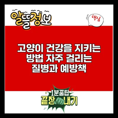 고양이 건강을 지키는 방법: 자주 걸리는 질병과 예방책