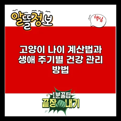 고양이 나이 계산법과 생애 주기별 건강 관리 방법
