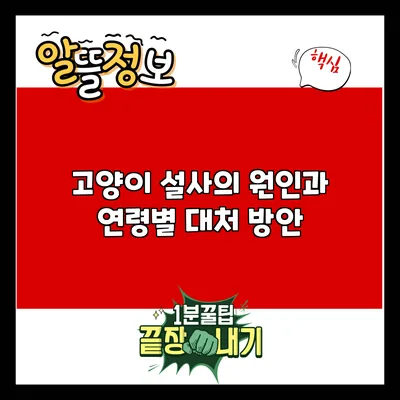 고양이 설사의 원인과 연령별 대처 방안