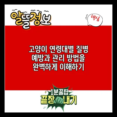 고양이 연령대별 질병 예방과 관리 방법을 완벽하게 이해하기