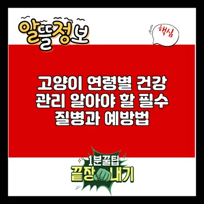 고양이 연령별 건강 관리: 알아야 할 필수 질병과 예방법