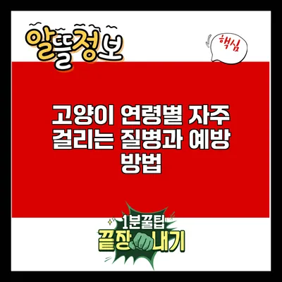 고양이 연령별 자주 걸리는 질병과 예방 방법