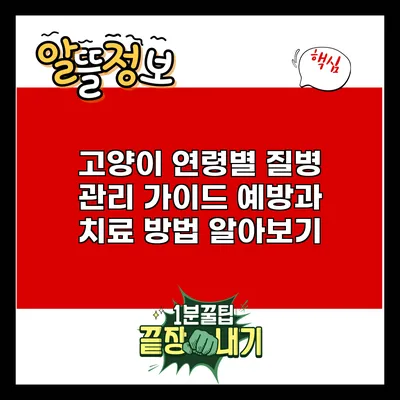 고양이 연령별 질병 관리 가이드: 예방과 치료 방법 알아보기