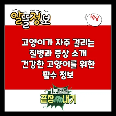 고양이가 자주 걸리는 질병과 증상 소개: 건강한 고양이를 위한 필수 정보