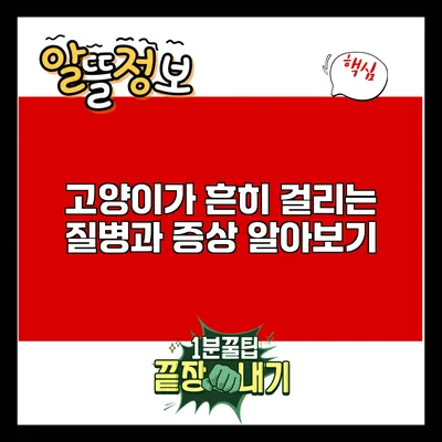 고양이가 흔히 걸리는 질병과 증상 알아보기