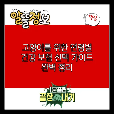 고양이를 위한 연령별 건강 보험 선택 가이드 완벽 정리