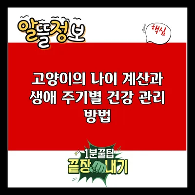 고양이의 나이 계산과 생애 주기별 건강 관리 방법