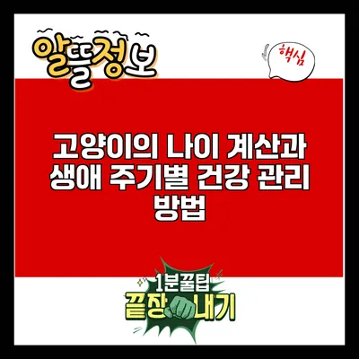 고양이의 나이 계산과 생애 주기별 건강 관리 방법