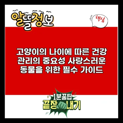 고양이의 나이에 따른 건강 관리의 중요성: 사랑스러운 동물을 위한 필수 가이드