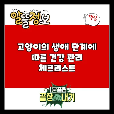 고양이의 생애 단계에 따른 건강 관리 체크리스트