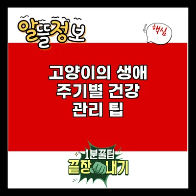 고양이의 생애 주기별 건강 관리 팁