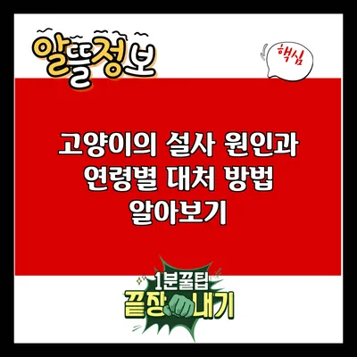 고양이의 설사 원인과 연령별 대처 방법 알아보기