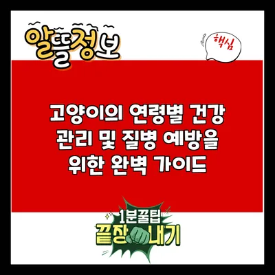 고양이의 연령별 건강 관리 및 질병 예방을 위한 완벽 가이드