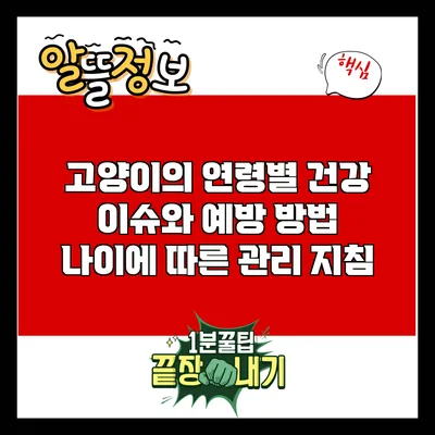 고양이의 연령별 건강 이슈와 예방 방법: 나이에 따른 관리 지침