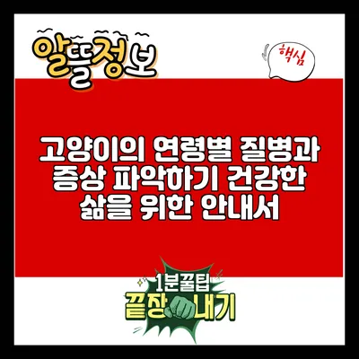 고양이의 연령별 질병과 증상 파악하기: 건강한 삶을 위한 안내서