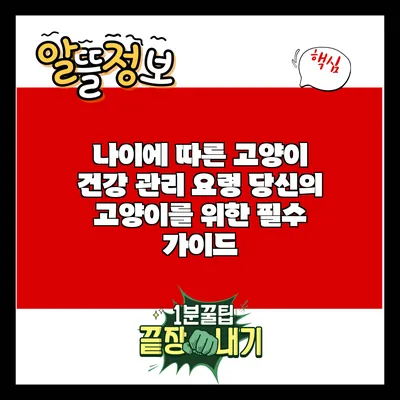 나이에 따른 고양이 건강 관리 요령: 당신의 고양이를 위한 필수 가이드
