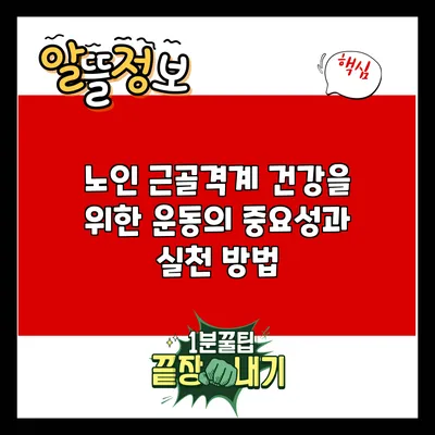 노인 근골격계 건강을 위한 운동의 중요성과 실천 방법
