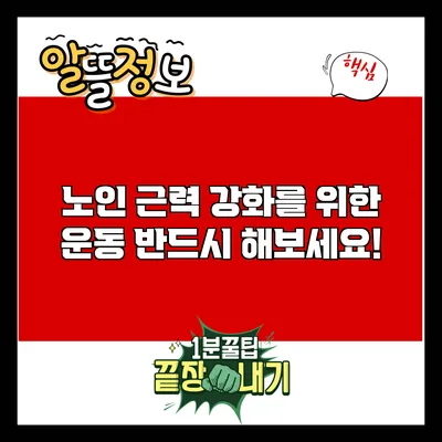 노인 근력 강화를 위한 운동: 반드시 해보세요!