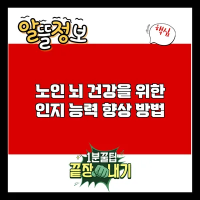 노인 뇌 건강을 위한 인지 능력 향상 방법