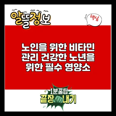 노인을 위한 비타민 관리: 건강한 노년을 위한 필수 영양소