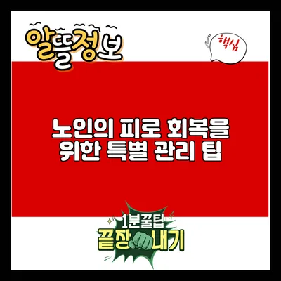노인의 피로 회복을 위한 특별 관리 팁