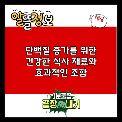 단백질 증가를 위한 건강한 식사 재료와 효과적인 조합