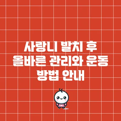 사랑니 발치 후 올바른 관리와 운동 방법 안내