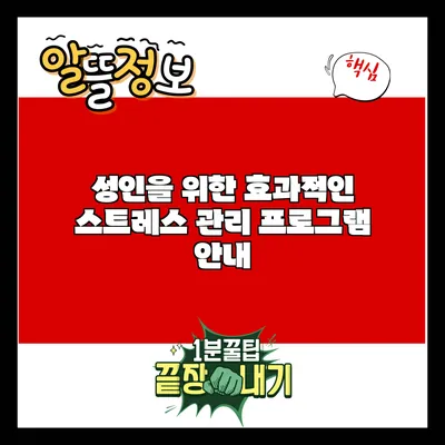 성인을 위한 효과적인 스트레스 관리 프로그램 안내