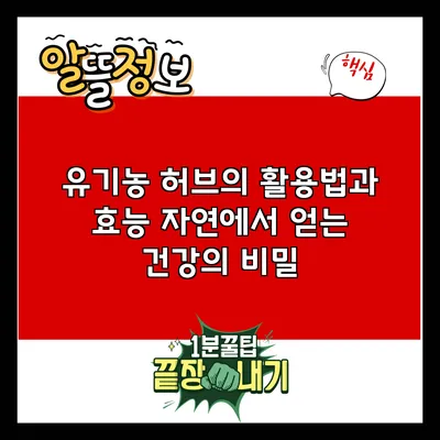 유기농 허브의 활용법과 효능: 자연에서 얻는 건강의 비밀