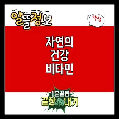 자연의 건강 비타민