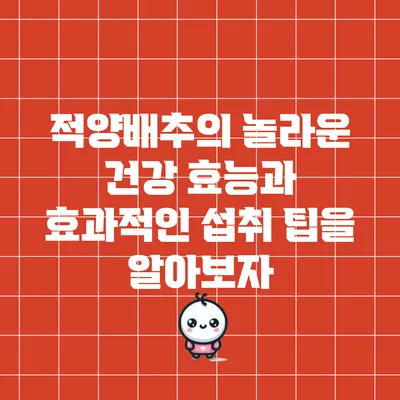 적양배추의 놀라운 건강 효능과 효과적인 섭취 팁을 알아보자