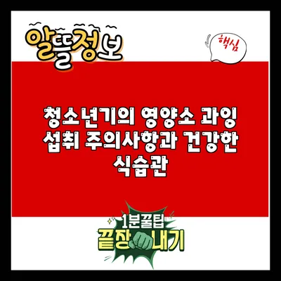 청소년기의 영양소 과잉 섭취 주의사항과 건강한 식습관