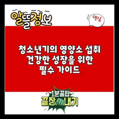 청소년기의 영양소 섭취: 건강한 성장을 위한 필수 가이드