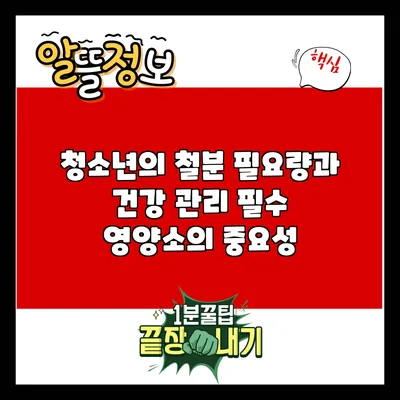 청소년의 철분 필요량과 건강 관리: 필수 영양소의 중요성