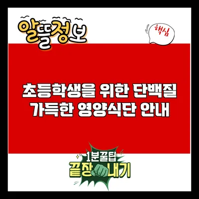 초등학생을 위한 단백질 가득한 영양식단 안내