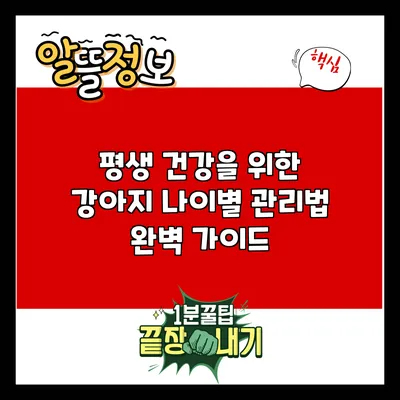 평생 건강을 위한 강아지 나이별 관리법 완벽 가이드