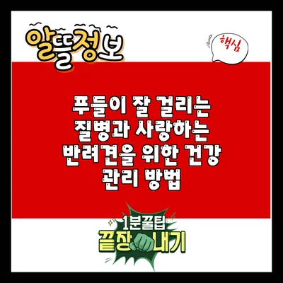 푸들이 잘 걸리는 질병과 사랑하는 반려견을 위한 건강 관리 방법