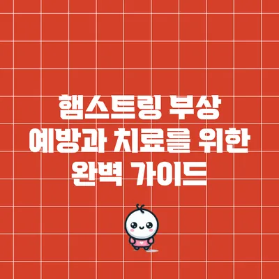햄스트링 부상 예방과 치료를 위한 완벽 가이드