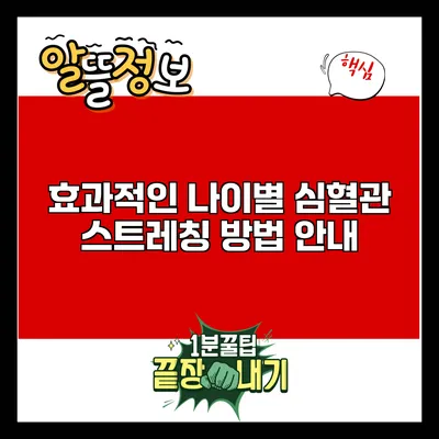 효과적인 나이별 심혈관 스트레칭 방법 안내