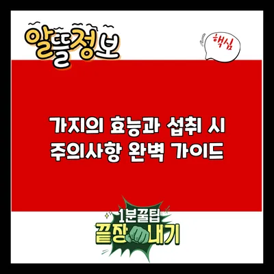 가지의 효능과 섭취 시 주의사항 완벽 가이드