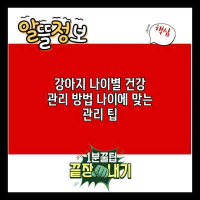강아지 나이별 건강 관리 방법: 나이에 맞는 관리 팁