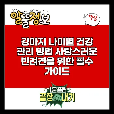 강아지 나이별 건강 관리 방법: 사랑스러운 반려견을 위한 필수 가이드