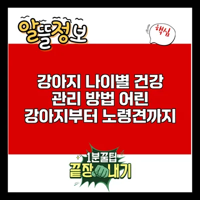 강아지 나이별 건강 관리 방법: 어린 강아지부터 노령견까지