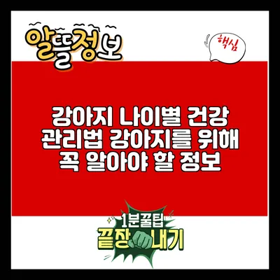 강아지 나이별 건강 관리법: 강아지를 위해 꼭 알아야 할 정보