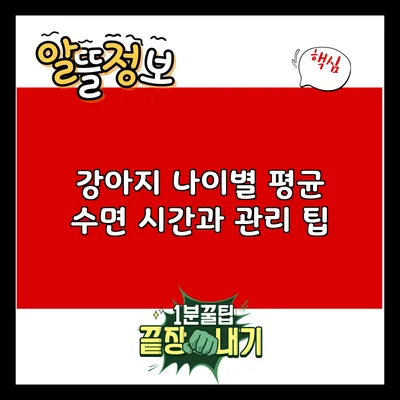 강아지 나이별 평균 수면 시간과 관리 팁