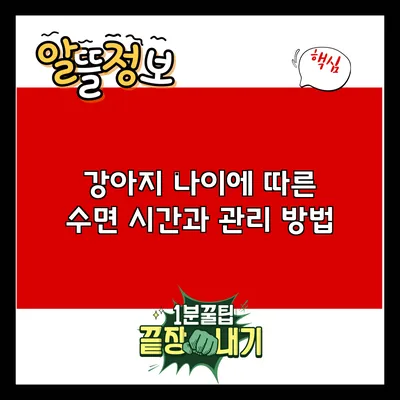강아지 나이에 따른 수면 시간과 관리 방법