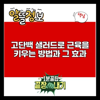 고단백 샐러드로 근육을 키우는 방법과 그 효과